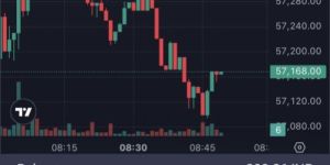 Crypto Mlm Website Development