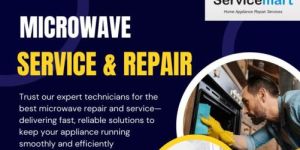 Microwave Oven Repairing