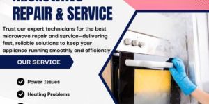 Microwave Oven Repairing Service