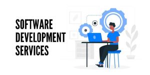 Software Services