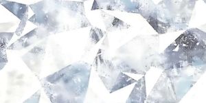 Shirt Printed Fabric