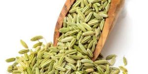 Fennel Seed