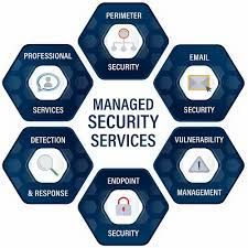 Network Security Service