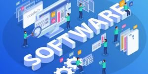 Software Development