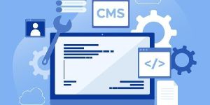 Ecommerce Website Development