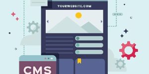 Freelance Web Designer