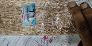 Dyed Tested Zari Threads