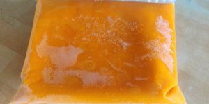 Frozen Mango Pulp