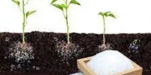 Agriculture Hydrogel