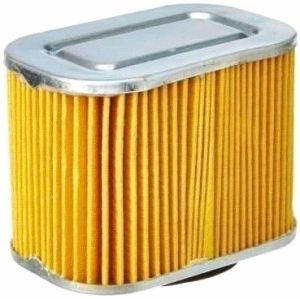 TVS Phoenix Air Filter