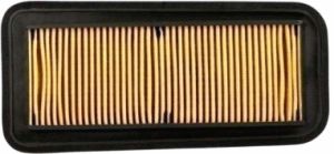Yamaha FZS 250 Air Filter