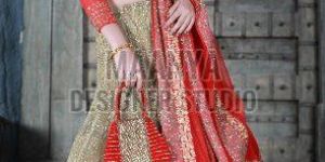 Ladies Party Wear Lehenga Choli