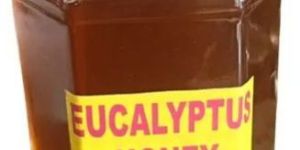 Eucalyptus Honey