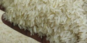 Raw Basmati Rice