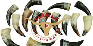 Short Viking Drinking Horn