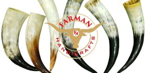 Viking Drinking Ox Horn