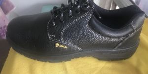 Sp Eco Safety Shoes