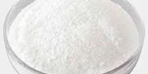 Sugar Free Protein Powder