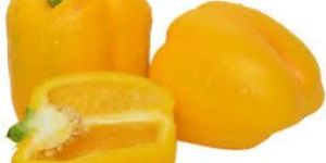 Fresh Yellow Capsicum
