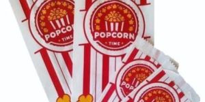 Popcorn Paper Pouch