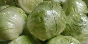 Fresh Iceberg Lettuce