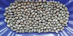 Unroasted Coffee Beans