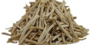 Organic Shatavari Root