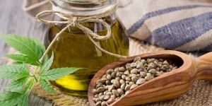 Wood Pressed Hempseed Oil