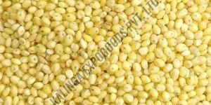 Organic Millet