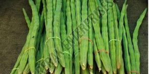 Fresh Green Drumstick