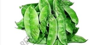 Fresh Green Hyacinth Beans