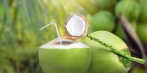 Tender Coconut Water