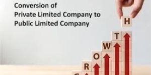 Private Ltd to Public Ltd Company Registration