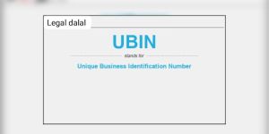Unique Business Identification Number Registration Services