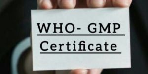 WHO-GMP Certification Services