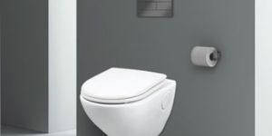 TITAN Washdown Wall Hung Closet