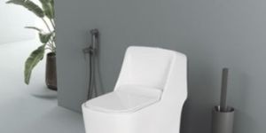 Alfa Washdown Syphonic One Piece Closet