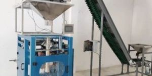 Seeds Pouch Packing Machine