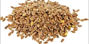 Flax Seeds