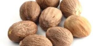 Nutmeg