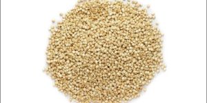 Quinoa Seeds