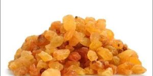 Regular Raisins Kishmish