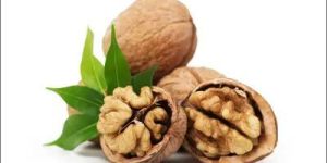 Walnuts (Akhrot)