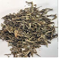 Darjeeling Tea Leaf