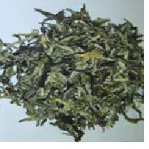 Shreeniwas White Tea Leaf