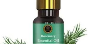 Rosemary Essential Oil for Hair and Skin