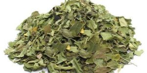 Dry Moringa Leaves