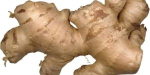 Fresh Ginger