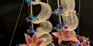 Titanic Fruit Basket