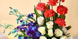 Vibrant Floral Arrangement with Red Carnations, White Roses, and Blue Orchids